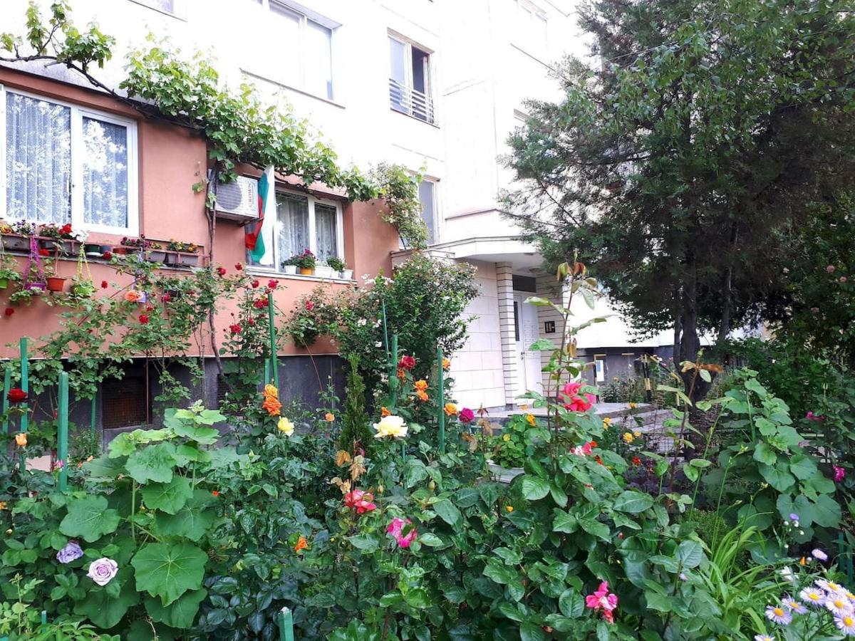 New York - Guest Near The Airport, Transport Possibility Homestay